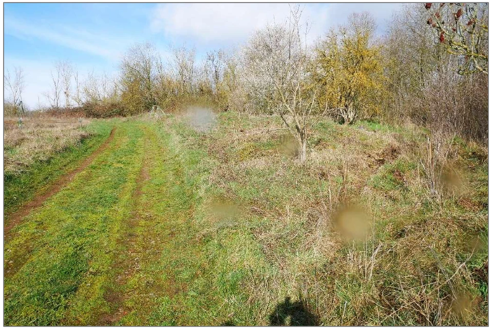 unbebautes Grundstück in Hesserode — Bild 2