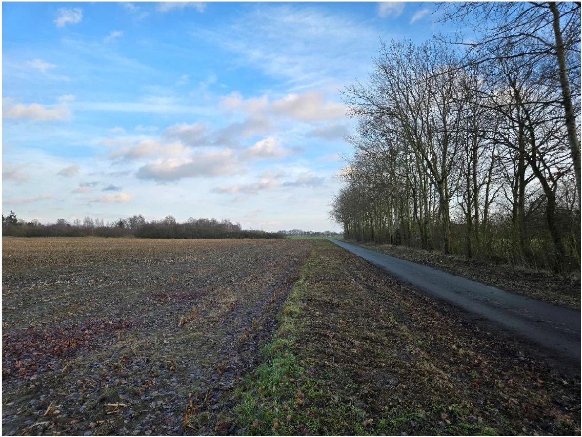 land- und forstwirtschaftlich genutztes Grundstück in Borstel — Bild 2