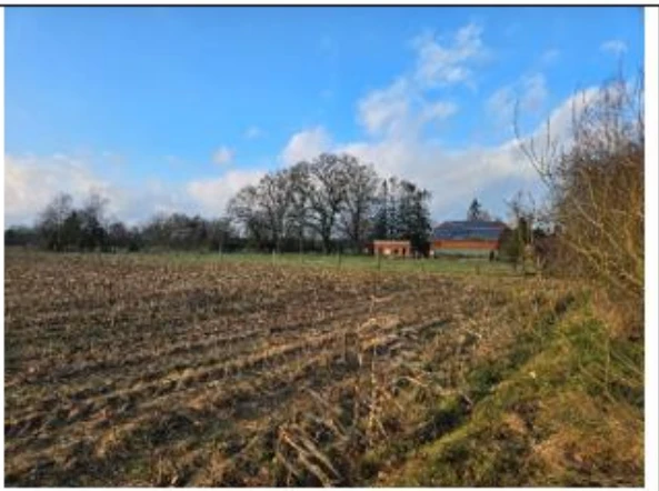land- und forstwirtschaftlich genutztes Grundstück in Borstel — Bild 3