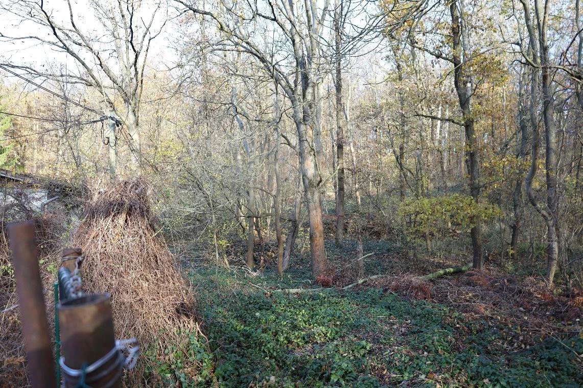 Sonstiges, Bungalow, Wald- und Verkehrsfläche in Görschen — Bild 3