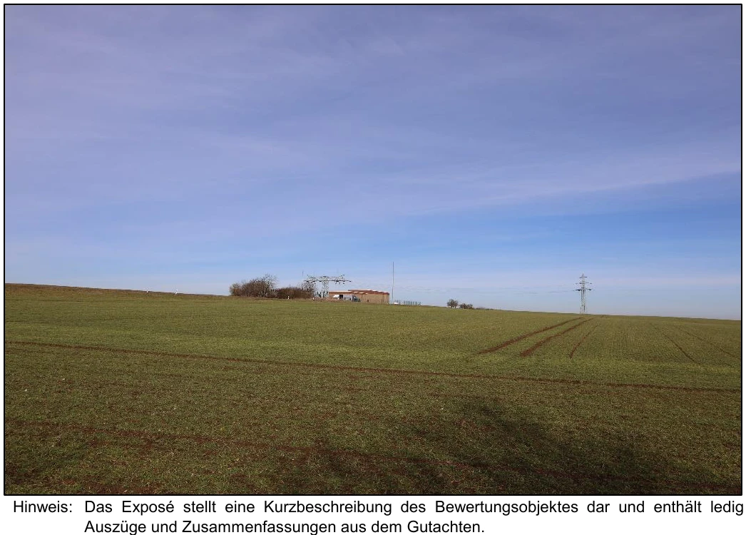 land- und forstwirtschaftlich genutztes Grundstück, Ackerland in Wischroda — Bild 2