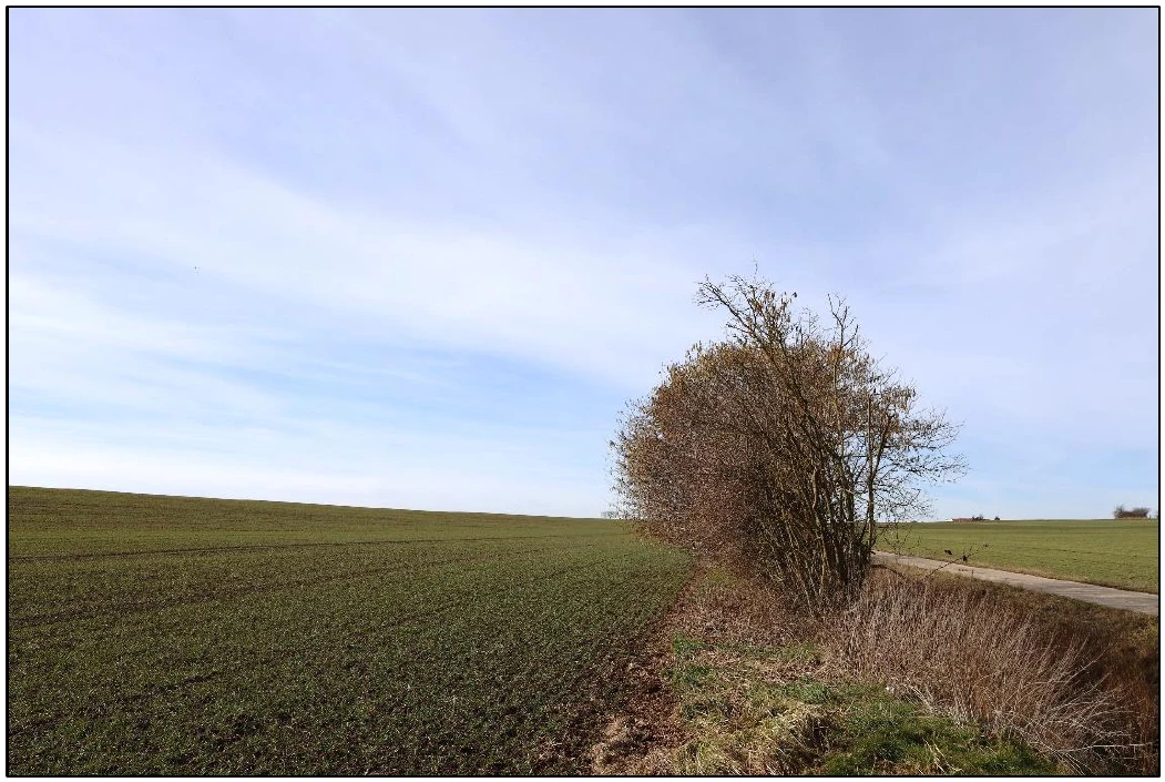 land- und forstwirtschaftlich genutztes Grundstück, Ackerland in Wischroda — Bild 3