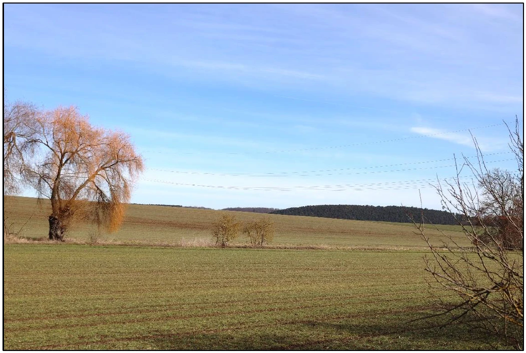 land- und forstwirtschaftlich genutztes Grundstück, Ackerland in Klosterhäseler — Bild 2