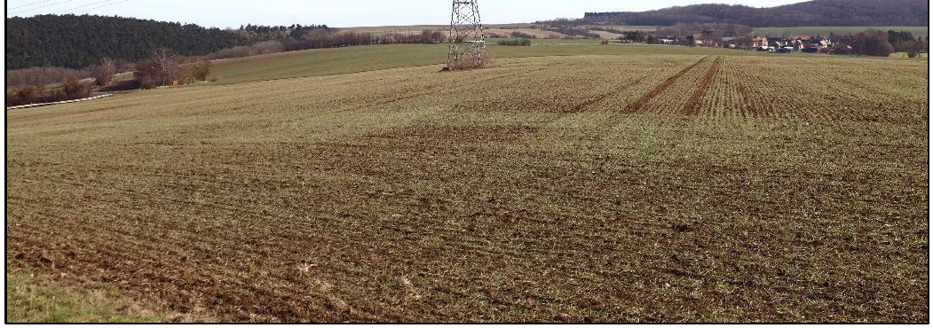 land- und forstwirtschaftlich genutztes Grundstück, Ackerland in Klosterhäseler — Bild 3