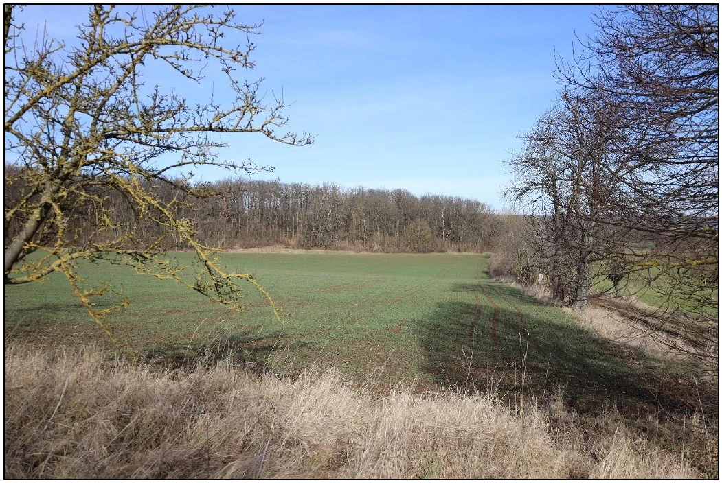 land- und forstwirtschaftlich genutztes Grundstück, Ackerland und Mischwald in Bad Bibra — Bild 2