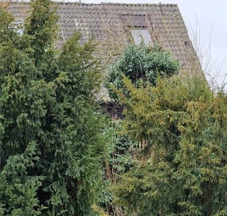 Einfamilienhaus-Doppelhaushälfte in Mülheim an der Ruhr — Bild 2