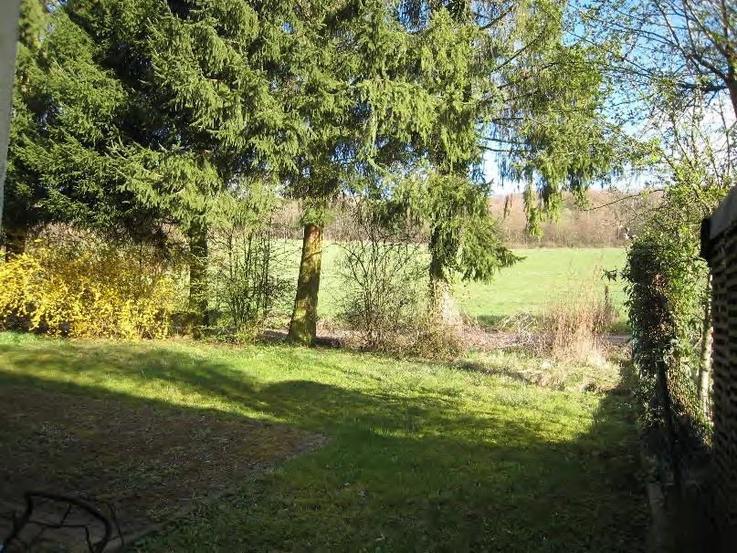 Einfamilienhaus in Hirzenhain — Bild 3
