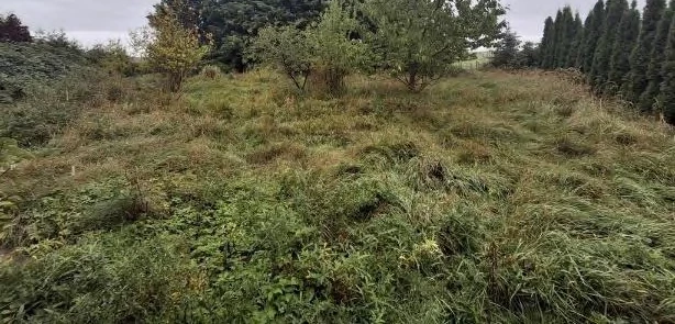 Einfamilienhaus in Gartz/Oder — Bild 3