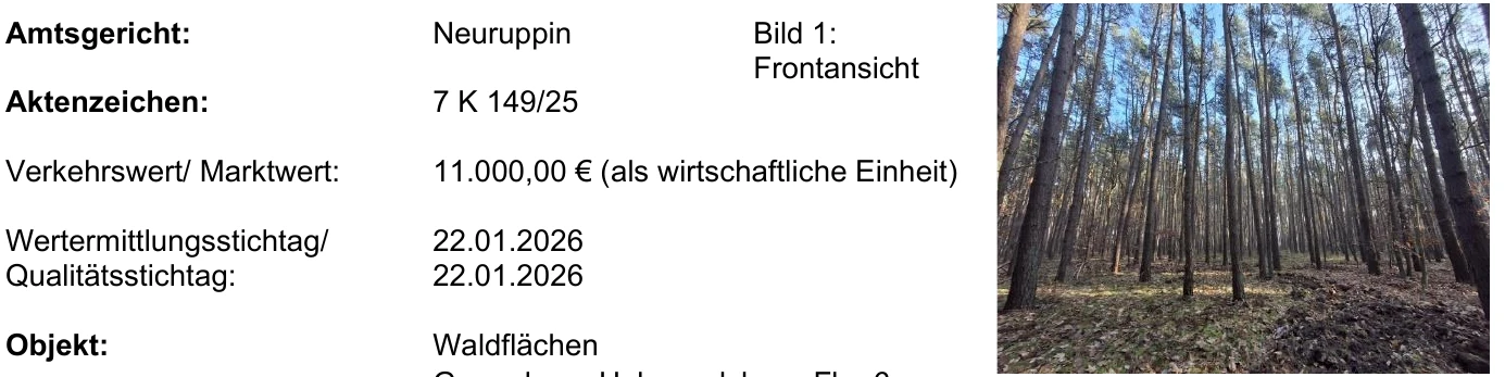 land- und forstwirtschaftlich genutztes Grundstück in Groß Pinnow — Bild 3