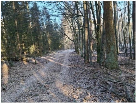 land- und forstwirtschaftlich genutztes Grundstück in Groß Pinnow
