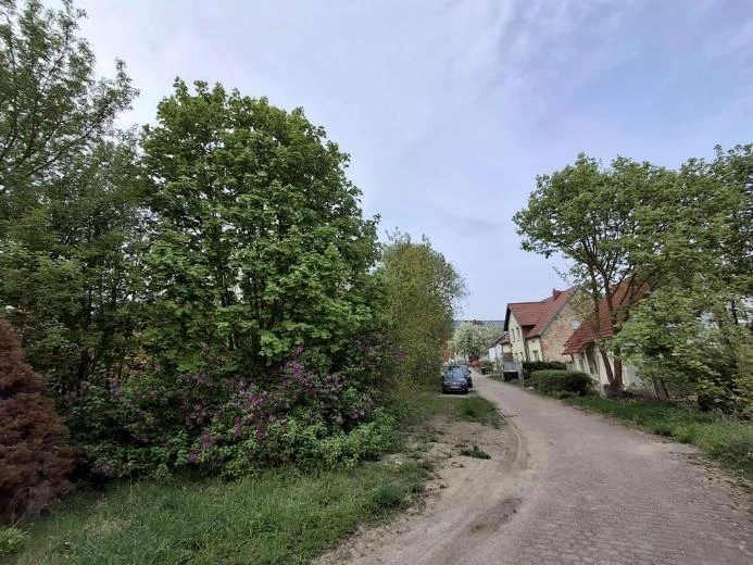unbebautes Grundstück in Angermünde