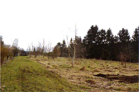 unbebautes Grundstück in Kyritz — Bild 2