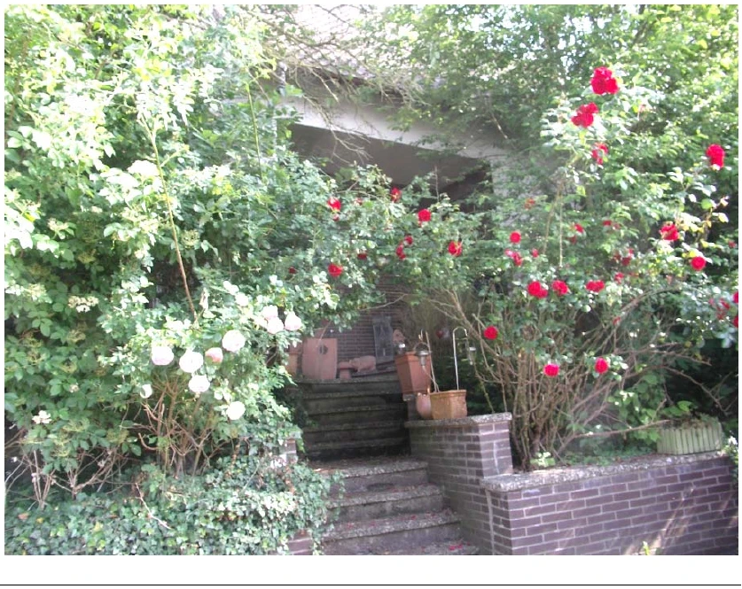 Einfamilienhaus in Rinteln — Bild 2