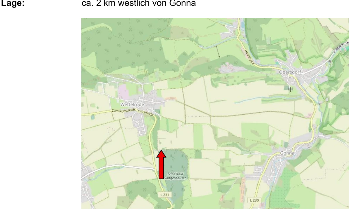 land- und forstwirtschaftlich genutztes Grundstück in Sangerhausen — Bild 2