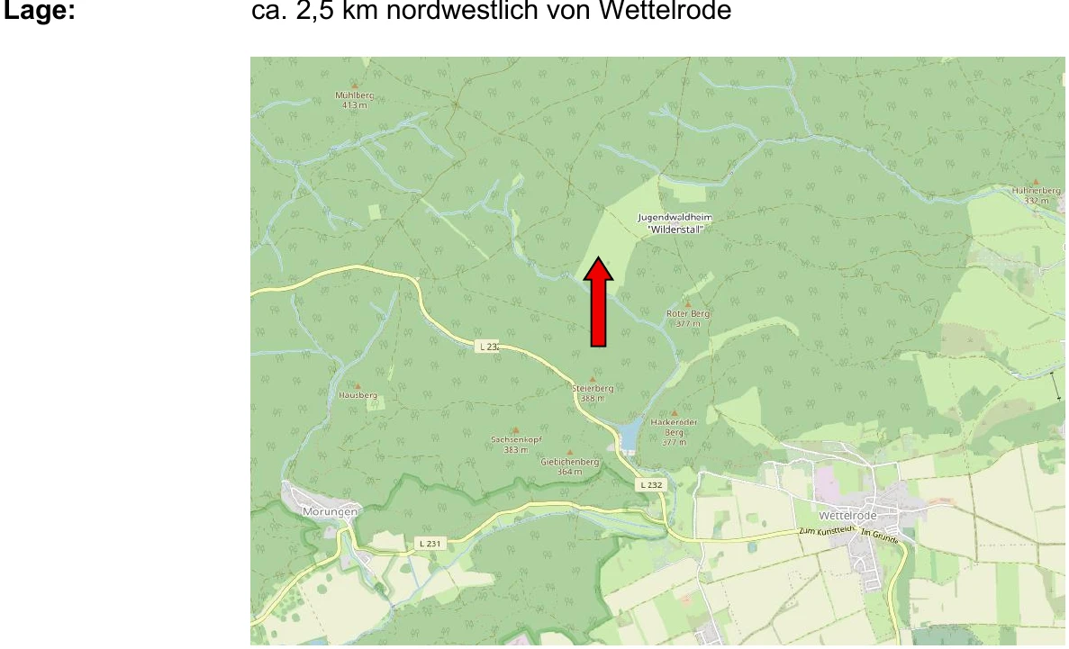 land- und forstwirtschaftlich genutztes Grundstück in Sangerhausen — Bild 2