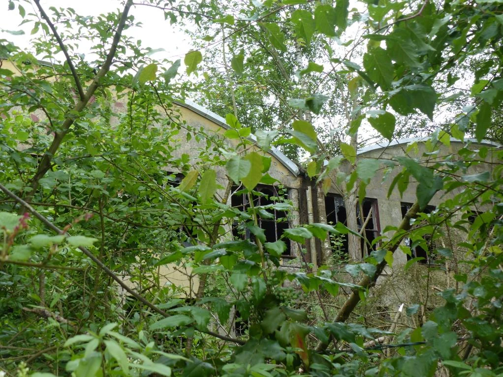 Gewerbeeinheit in Eschershausen