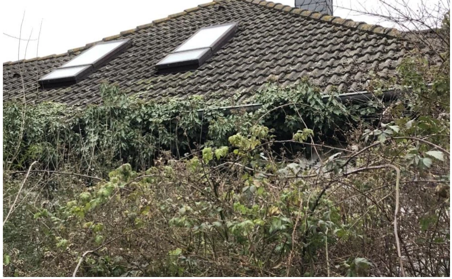 Einfamilienhaus in Bad Nenndorf — Bild 3