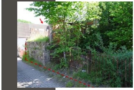 Sonstiges in Südharz — Bild 2