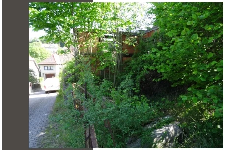 Sonstiges in Südharz — Bild 3