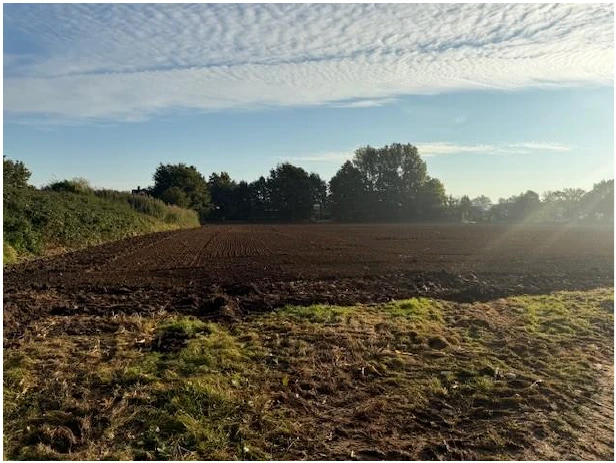 unbebaute Grundstücke in Isselburg — Bild 3