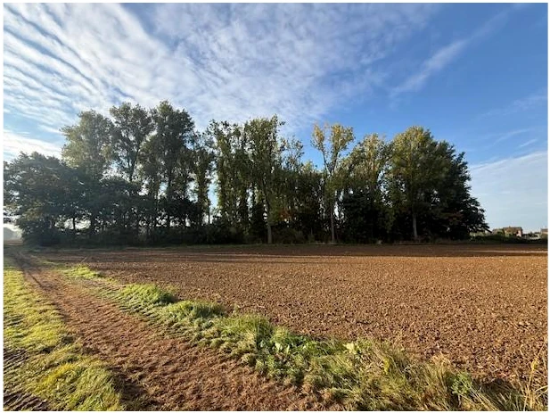 unbebaute Grundstücke in Isselburg — Bild 2