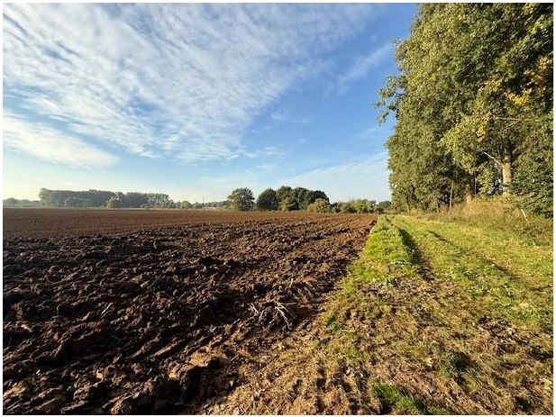 unbebaute Grundstücke in Isselburg — Bild 3