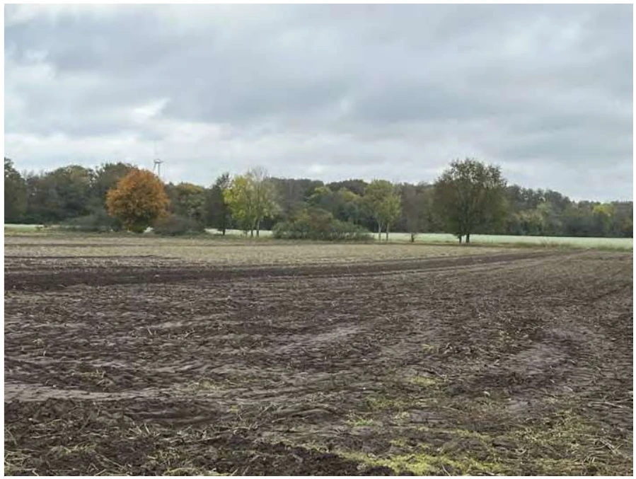 land- und forstwirtschaftlich genutztes Grundstück in Fürstenau