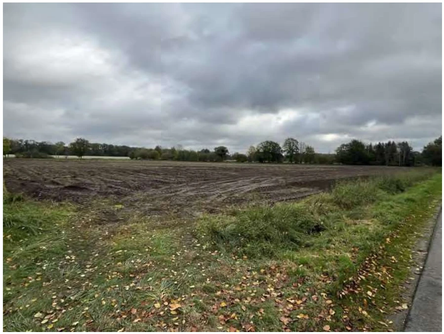 land- und forstwirtschaftlich genutztes Grundstück in Fürstenau — Bild 3