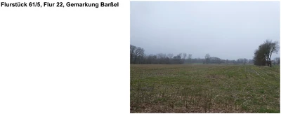 land- und forstwirtschaftlich genutztes Grundstück in Barßel