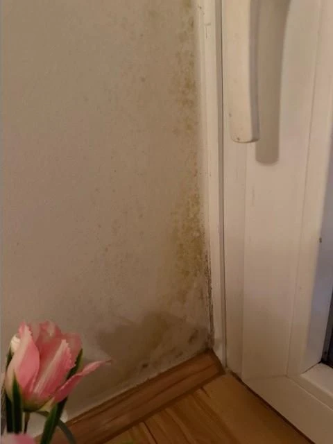 Eigentumswohnung (ab 5 Zimmer) in Greven — Bild 2