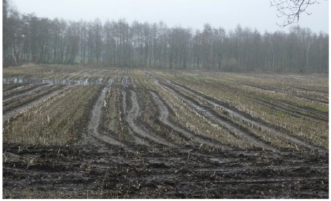 land- und forstwirtschaftlich genutztes Grundstück in Friesoythe — Bild 3