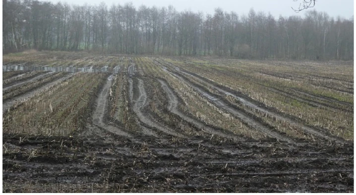 land- und forstwirtschaftlich genutztes Grundstück in Friesoythe — Bild 2