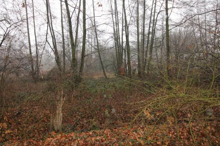 land- und forstwirtschaftlich genutztes Grundstück, unbebautes Grundstück in Münster — Bild 2