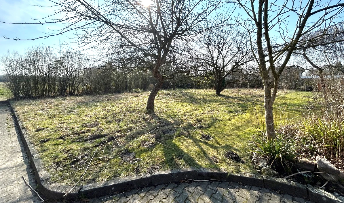 unbebautes Grundstück, Baugrundstück in Münster