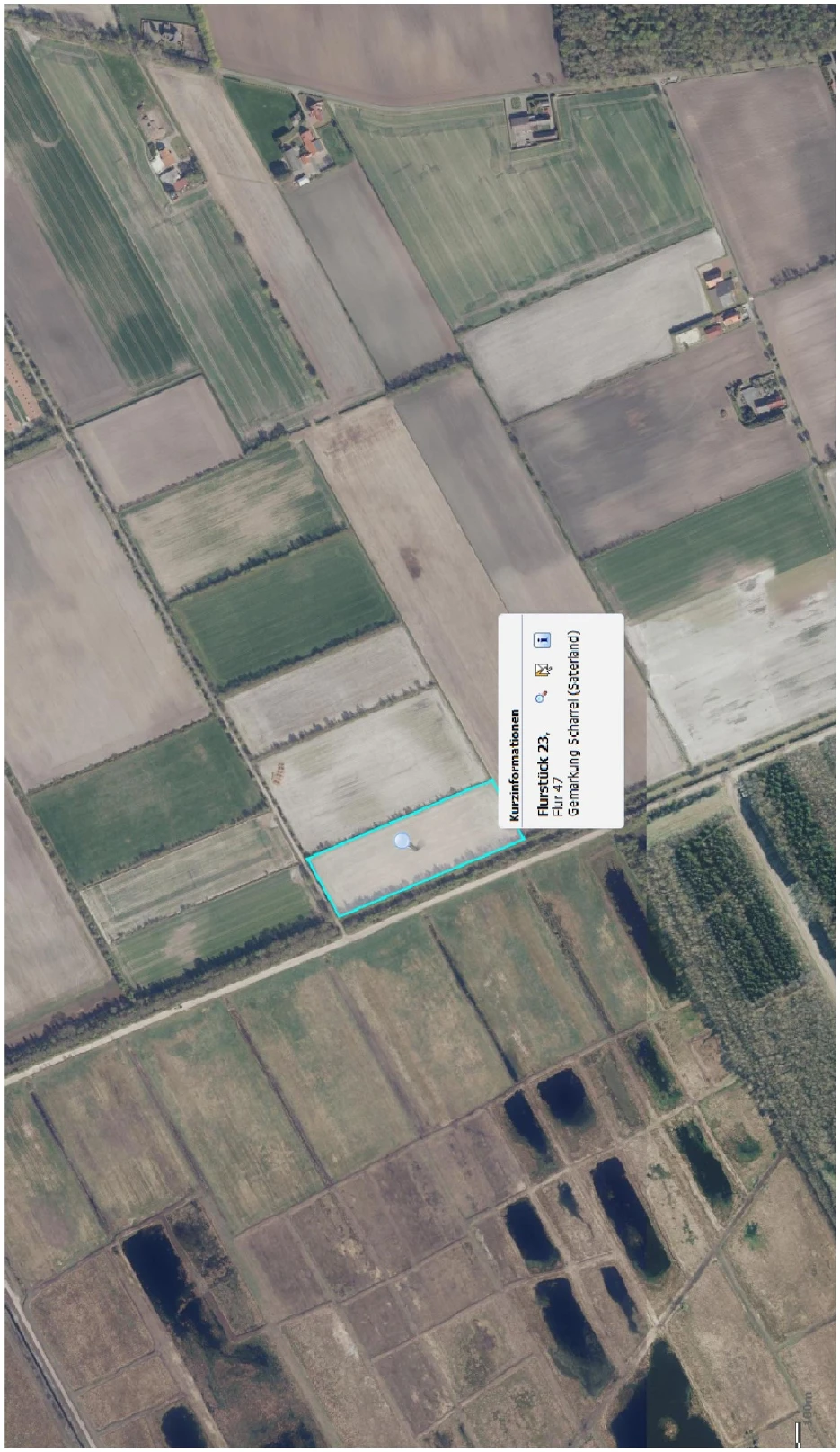 land- und forstwirtschaftlich genutztes Grundstück in Saterland — Bild 3