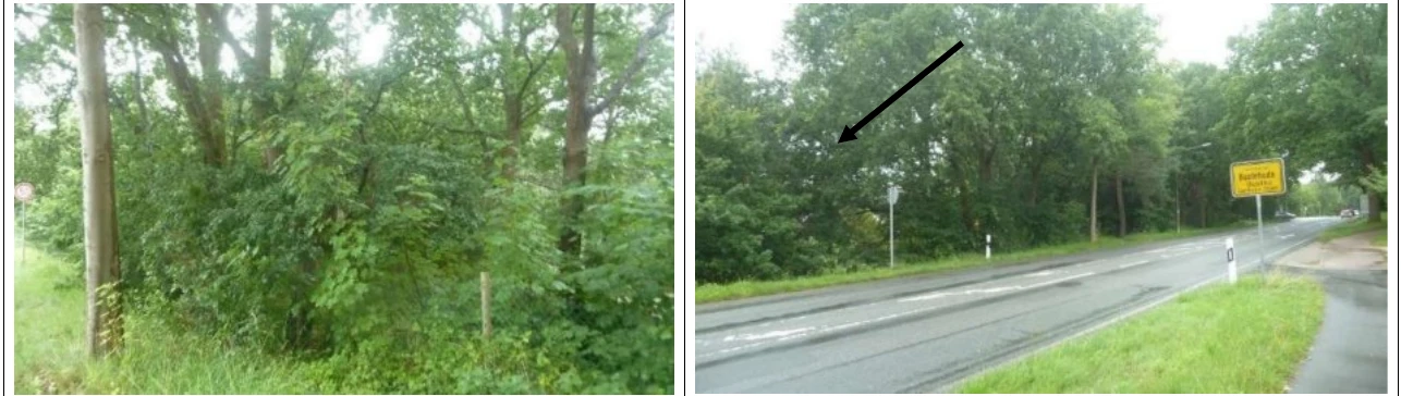 unbebautes Grundstück in Buxtehude — Bild 3