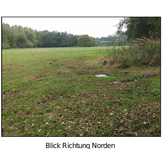 land- und forstwirtschaftlich genutztes Grundstück in Vehta — Bild 2