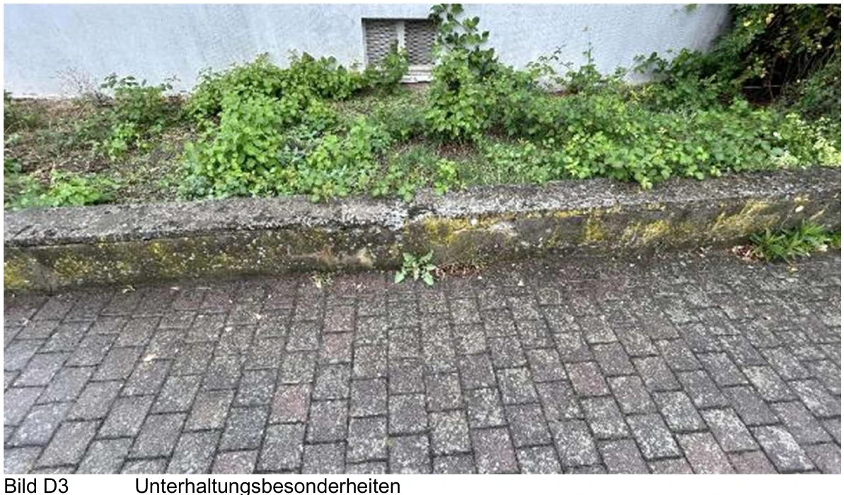 Eigentumswohnung (ab 5 Zimmer) in Lohrheim — Bild 3