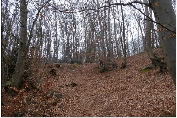 land- und forstwirtschaftlich genutztes Grundstück, Einfamilienhaus in Nettetal — Bild 2