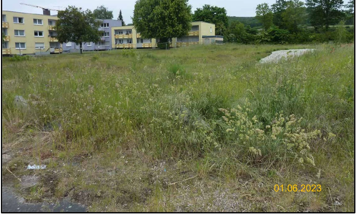 Eigentumswohnung (3 bis 4 Zimmer) in Halle — Bild 3