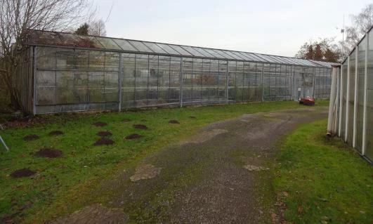 Gärtnereibetrieb mit großen Gewächshäusern für Vertrieb und Aufzucht, sowie Betriebsgebäude, Betriebswohnung, Halle und Schuppen in Nettetal