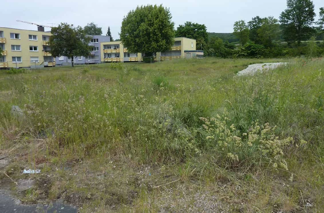 Eigentumswohnung in Halle — Bild 3