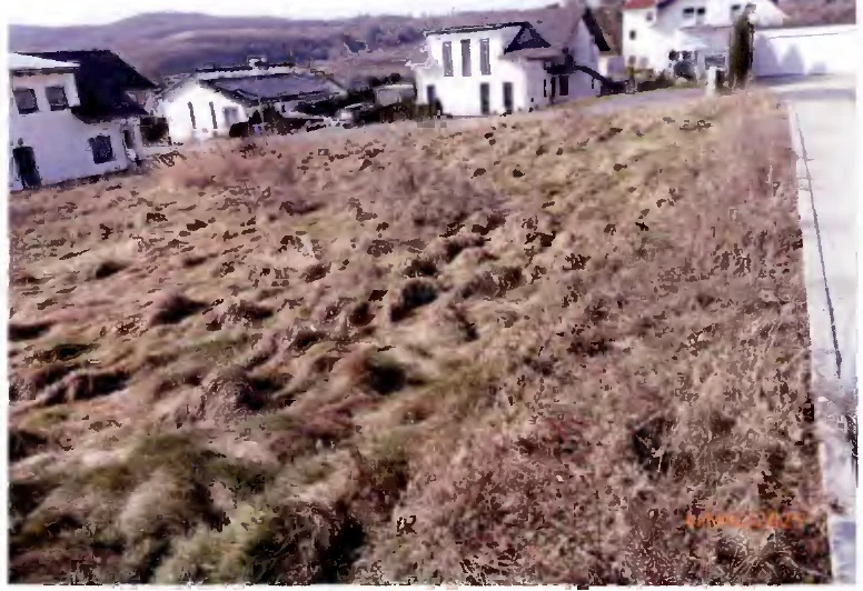 Baugrundstück in Waldeck — Bild 3