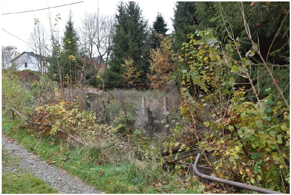 Immobilie in Neumark — Bild 3