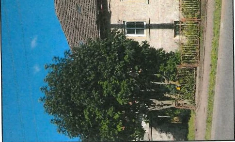 Einfamilienhaus in Blankenburg — Bild 3