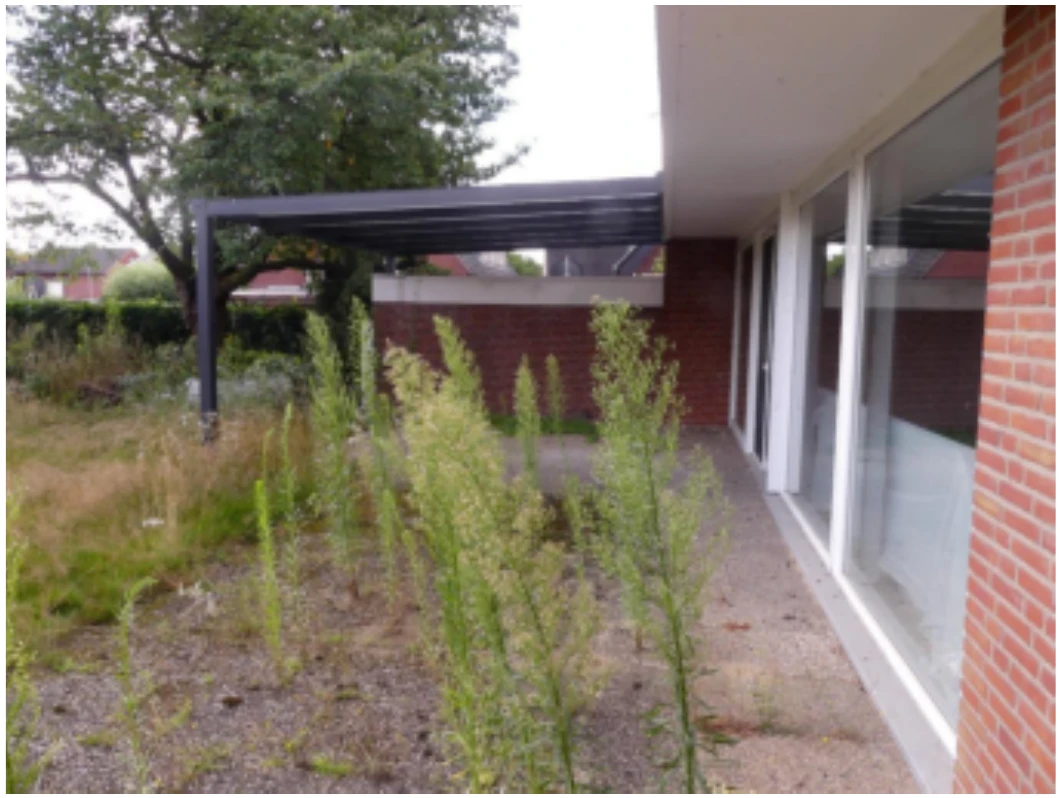 Einfamilienhaus in Warendorf — Bild 2