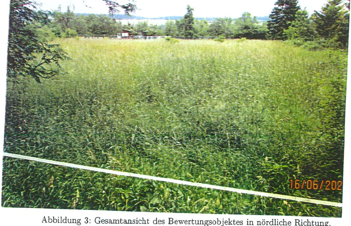 land- und forstwirtschaftlich genutztes Grundstück in Wienrode — Bild 2