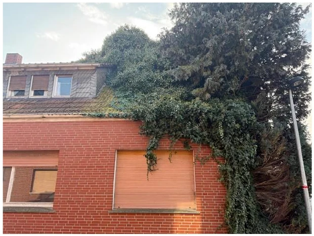 Mehrfamilienhaus in Rheine — Bild 2