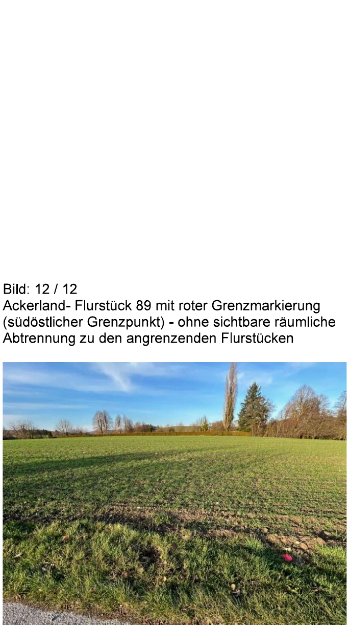 land- und forstwirtschaftlich genutztes Grundstück, Einfamilienhaus in Kalletal — Bild 2