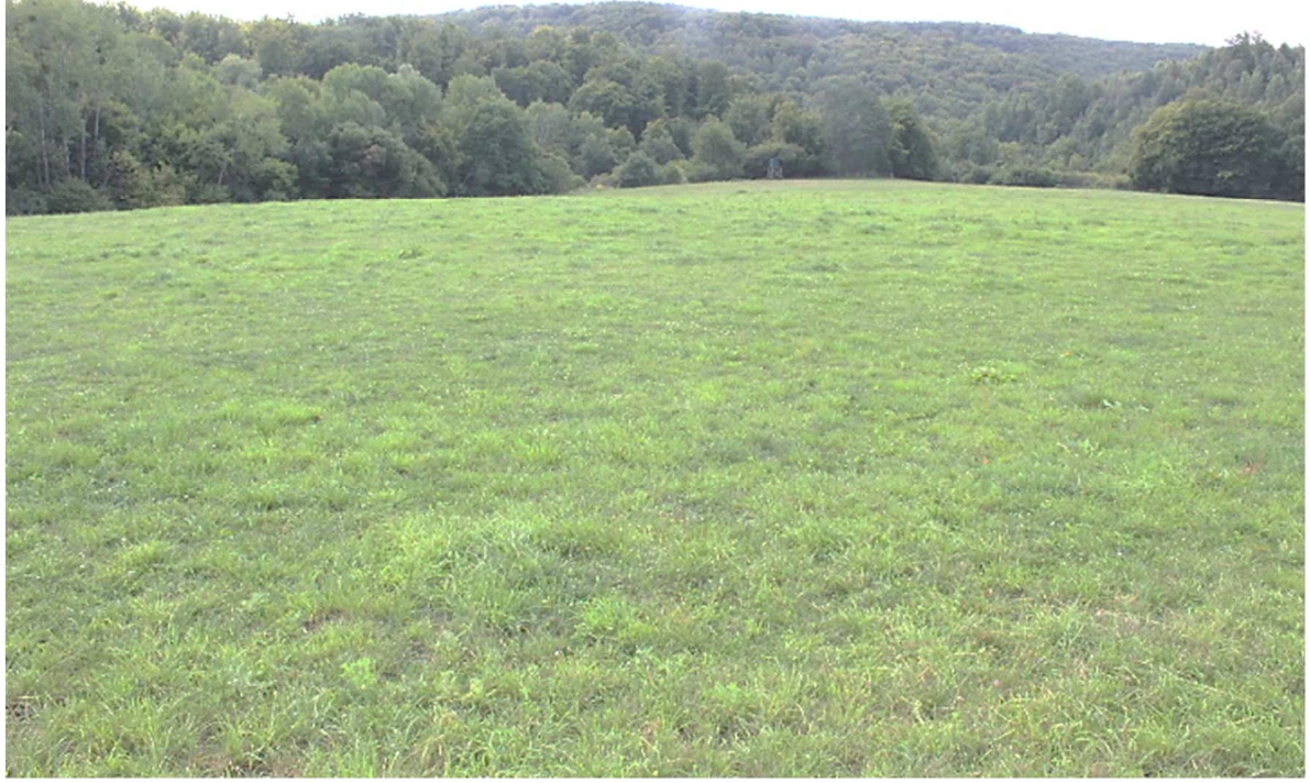 unbebautes Grundstück in Hillscheid — Bild 3